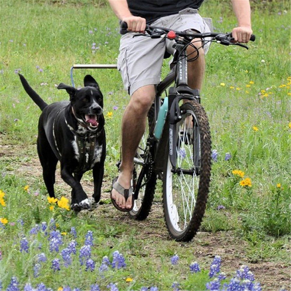Dog Walking Bicycle Tow