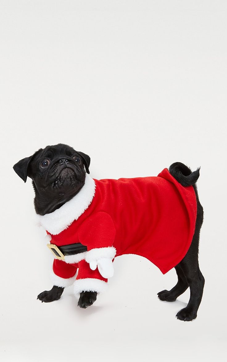 Pet Christmas Santa Costume