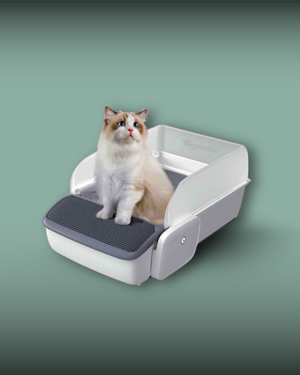 F&F Automatic Self-cleaning Cat Litter Box | Open Smart Litter Tray