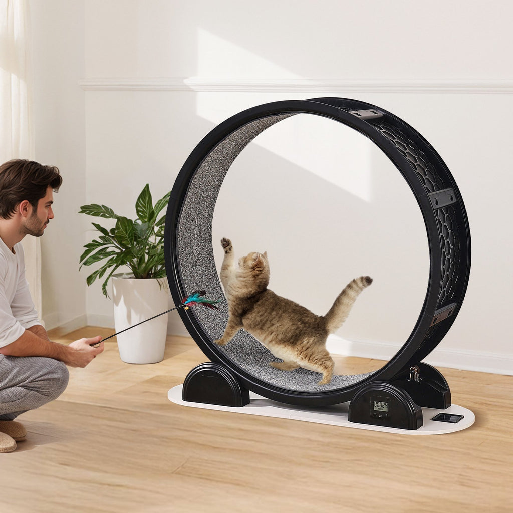 Cat Exercise Wheel | Pedometer Cat Treadmill For Pet Health