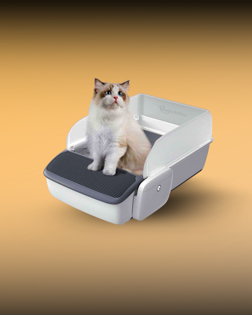 F&F Automatic Self-cleaning Cat Litter Box | Open Smart Litter Tray