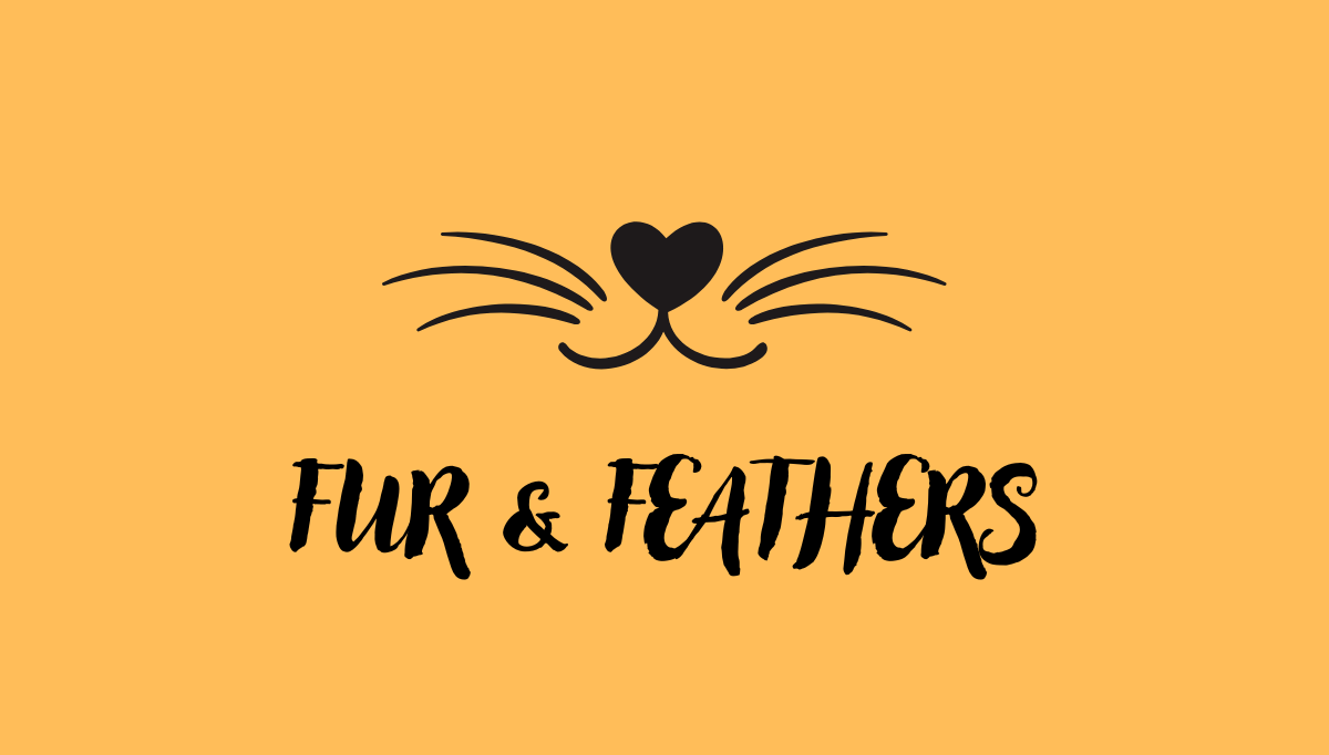 FURANDFEATHERS